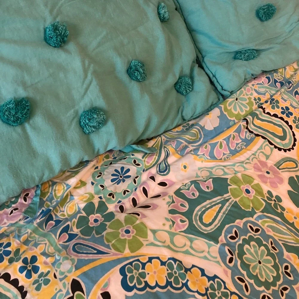 Pottery Barn Teen Duvet and 2 shams